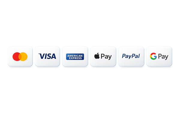 Mastercard, Visa, American Express, Apple Pay, PayPal, Google Pay